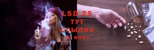 ГАЛЛЮЦИНОГЕННЫЕ ГРИБЫ Нея