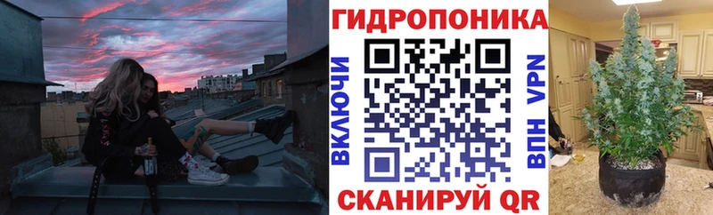 Конопля Bruce Banner  что такое наркотик  Кукмор 